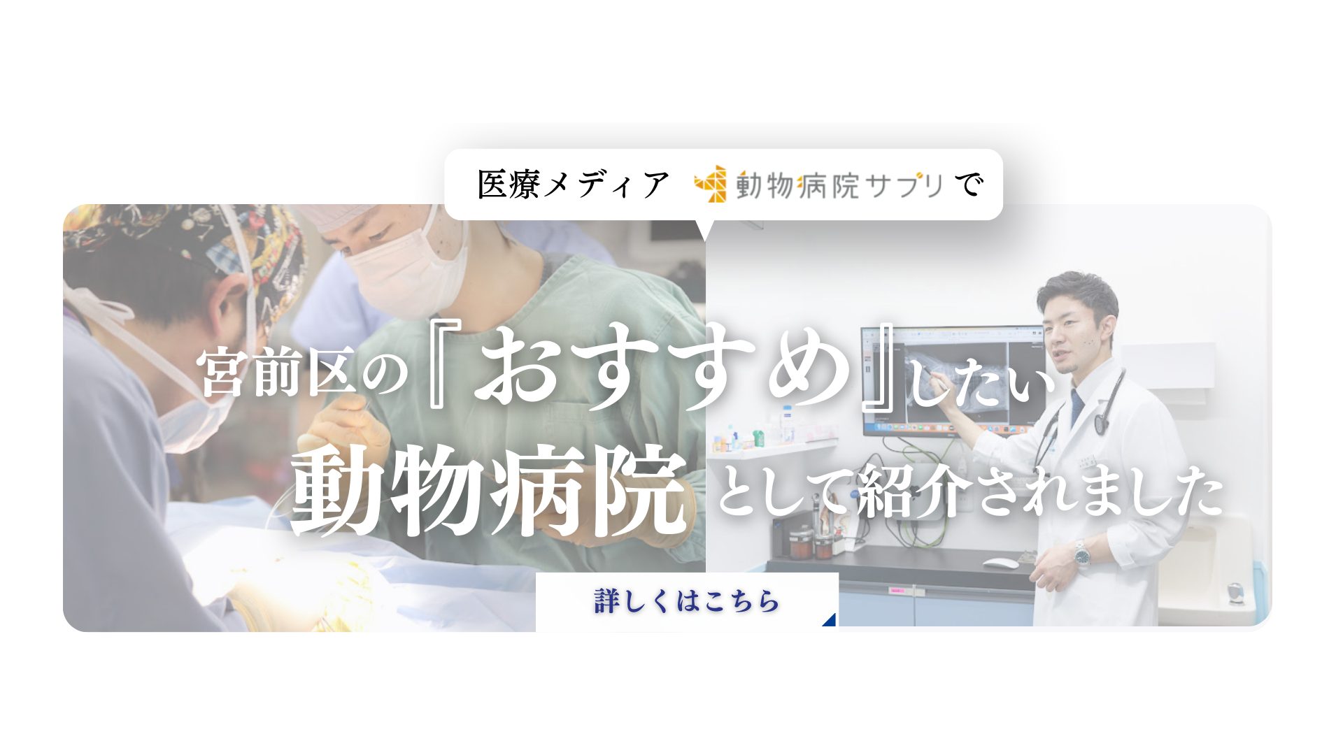 宮前区のおすすめしたい動物病院として紹介されました